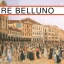 Vivere Belluno invito banner